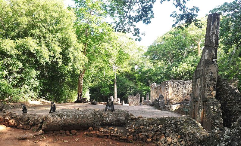 gede kenya 849.jpg